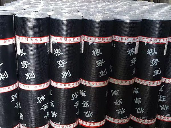 small4_16538793517656309 拷贝.jpg